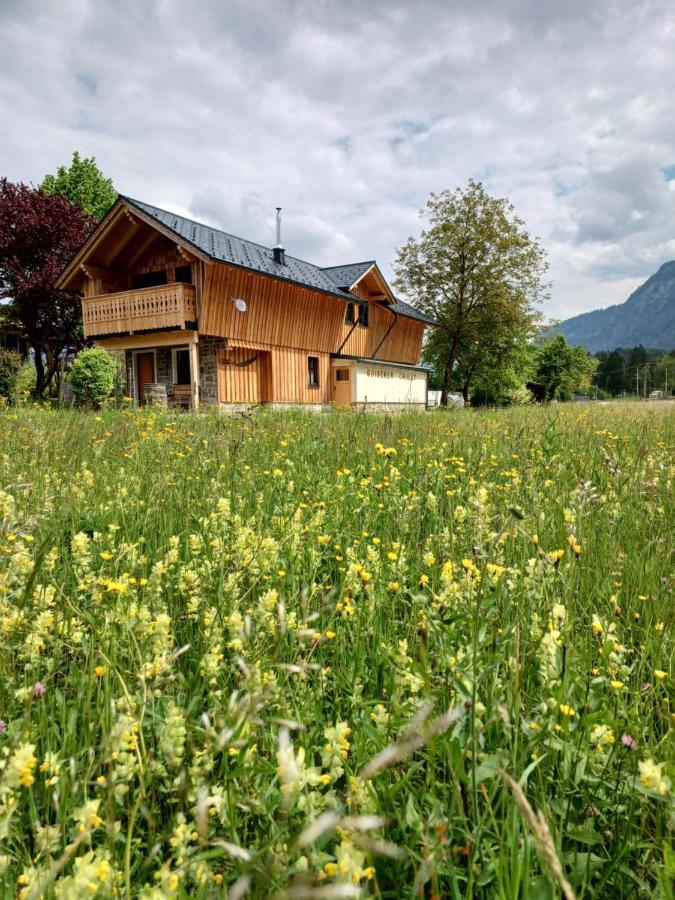 Goiserer Chalet Apartment Bad Goisern Exterior photo